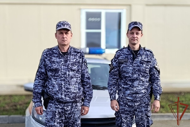 В Сочи росгвардейцы спасли водителя с инфарктом, попавшего в ДТП 