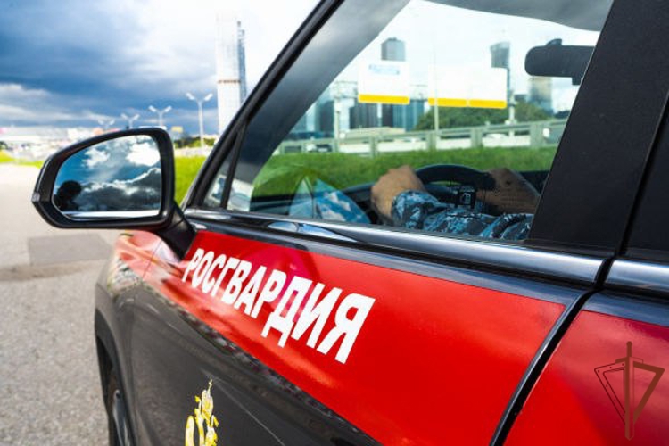В Подмосковье росгвардейцы оказали помощь водителю загоревшегося автомобиля (видео)