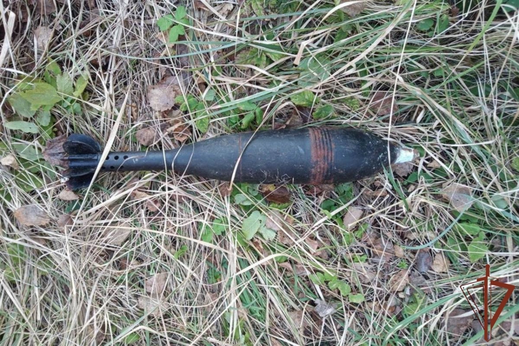 Взрывотехники ОМОН Росгвардии обследовали подозрительный предмет, обнаруженный в Ленинградской области