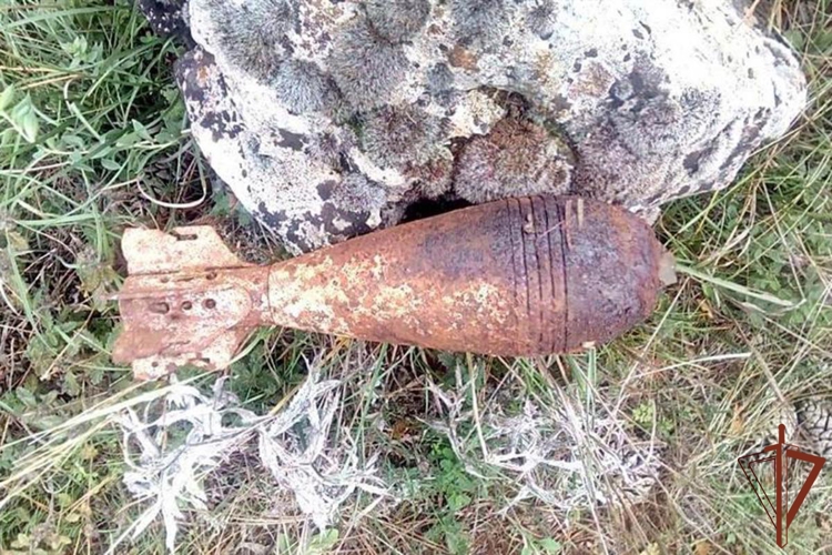 Боеприпасы периода Великой Отечественной войны обследовали росгвардейцы в Севастополе