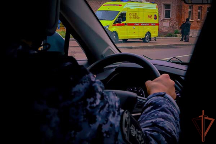 Росгвардейцы оказали доврачебную помощь москвичке с травмой головы (видео)