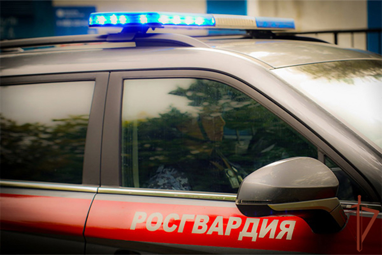 В Москве росгвардейцы вернули матери потерявшегося ребенка (видео)