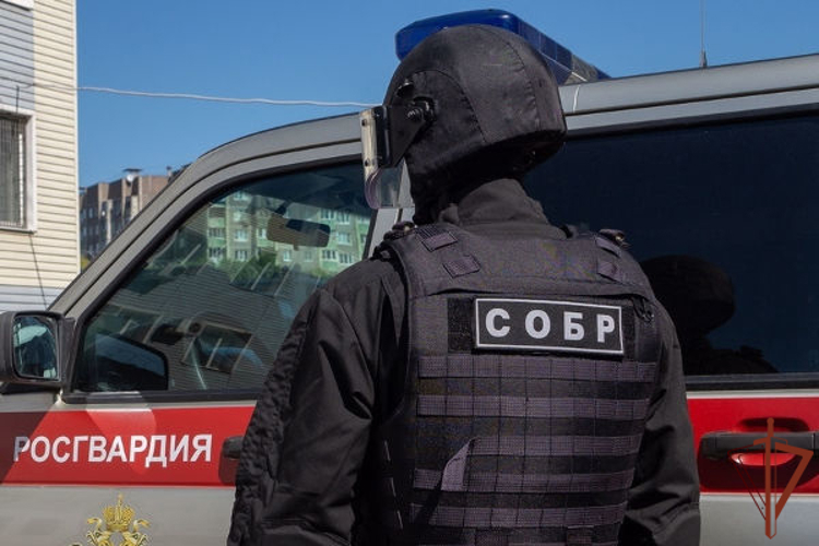 В Подмосковье при силовой поддержке спецназа Росгвардии ликвидирована нарколаборатория