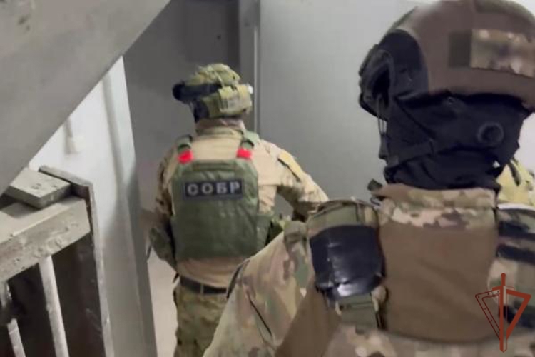 СОБР Росгвардии  задержал подозреваемого в мошенничестве с деньгами на ремонт школы в Архангельской области (видео)