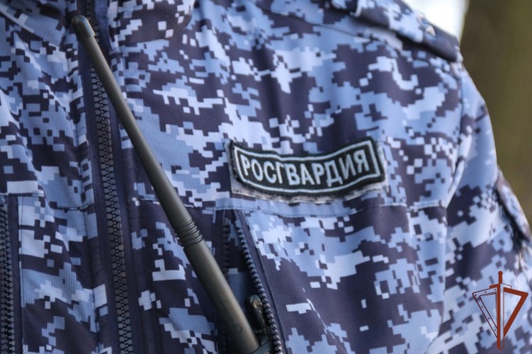 В Санкт-Петербурге сотрудники Росгвардии задержали злоумышленника, планировавшего поджог служебного транспорта