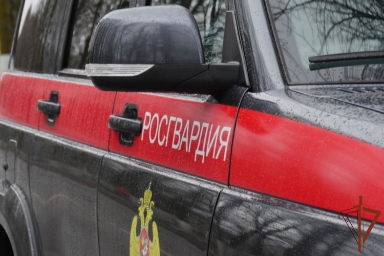 В Ленинградской области сотрудники Росгвардии задержали нетрезвого водителя, пытавшегося скрыться с места ДТП 