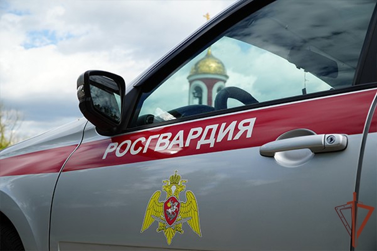 В Подмосковье росгвардейцы пресекли незаконный оборот наркотиков в особо крупном размере 
