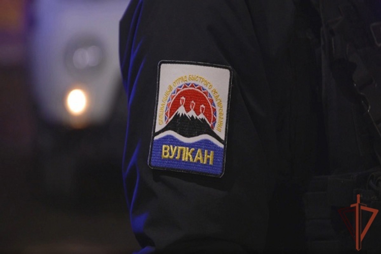 Сотрудники СОБР «Вулкан» оказали силовую поддержку в ходе рейда по выявлению нарушений миграционного законодательства на Камчатке