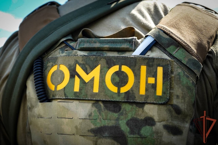 При содействии ОМОН Росгвардии в Тверской области пресечена незаконная рубка леса (видео)