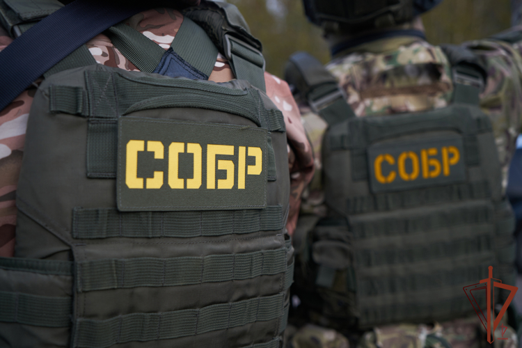 При содействии СОБР Росгвардии задержан подозреваемый в разбойном нападении на склад (видео)