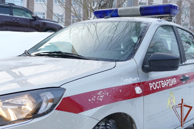 Сотрудники Росгвардии в Томской области задержали мужчину, находящегося в международном розыске