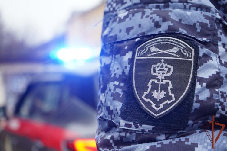 Росгвардейцы задержали мужчину, угрожавшего ножом посетителям торгового центра в Подмосковье (видео)