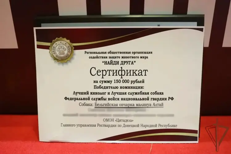 Кинологи и служебные собаки Росгвардии удостоены Всероссийской премии профессионального мастерства (видео)