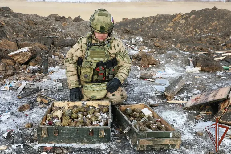 Росгвардейцы уничтожили боеприпасы, изъятые из схронов ВСУ (видео)
