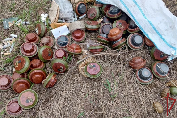 Росгвардейцы проводят комплекс мероприятий по обеспечению безопасности на территории Херсонской и Запорожской областей 