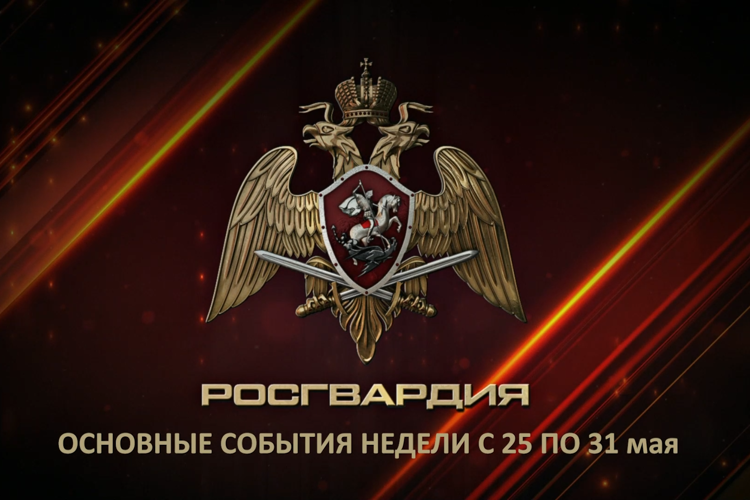 Ключевые события Росгвардии: итоги недели (видео)