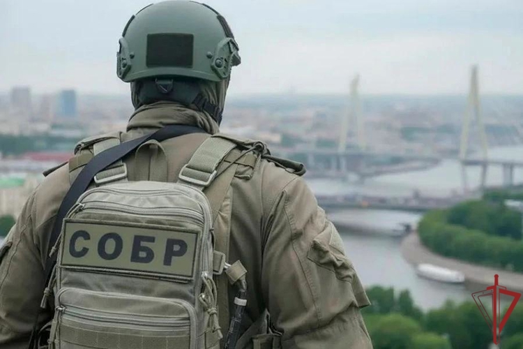 В Приморском крае при участии сотрудников СОБР «Леопард» задержаны пособники телефонных мошенников