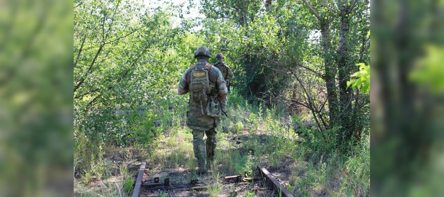 В ЛНР росгвардейцы обезвредили свыше 600 взрывоопасных предметов  
