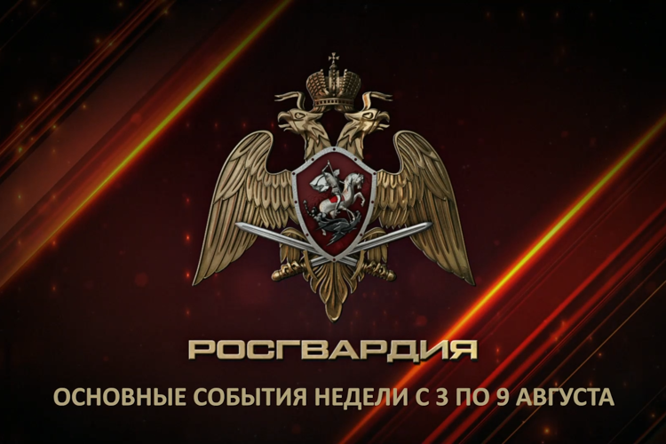 Ключевые события Росгвардии: итоги недели с 3 по 9 августа (видео)