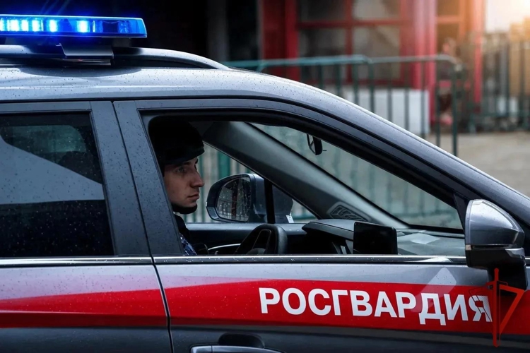 В Москве росгвардейцы задержали гражданина, подозреваемого в нападении с ножом в торговом центре (видео)