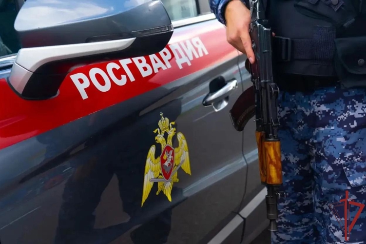 В Подмосковье росгвардейцы помогли извлечь водителя из перевернувшегося после ДТП автомобиля (видео)