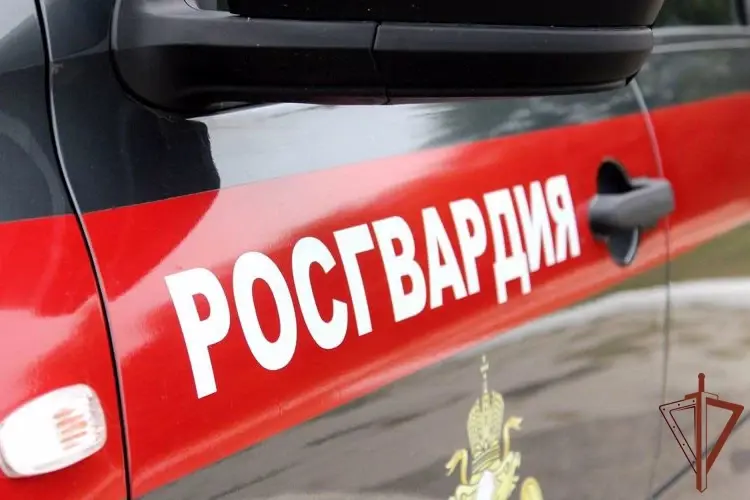 В Калининградской области сотрудники вневедомственной охраны Росгвардии задержали несовершеннолетних поджигателей